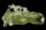 Vesuvianite Crystal - Jeffrey Mine, Canada #134422-1